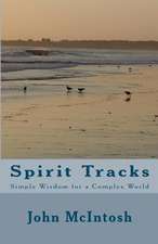 Spirit Tracks