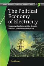 The Political Economy of Electricity: Progressive Capitalism and the Struggle to Build a Sustainable Power Sector