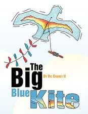 The Big Blue Kite