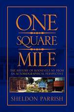 ONE SQUARE MILE