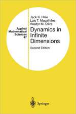 Dynamics in Infinite Dimensions