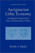 Aurignacian Lithic Economy: Ecological Perspectives from Southwestern France