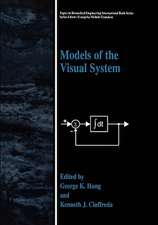 Models of the Visual System