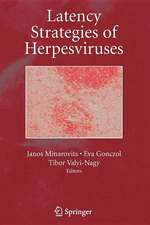 Latency Strategies of Herpesviruses