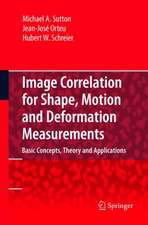 Image Correlation for Shape, Motion and Deformation Measurements: Basic Concepts,Theory and Applications