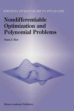 Nondifferentiable Optimization and Polynomial Problems