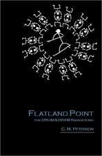 Flatland Point: The Drum & Draw Navigations