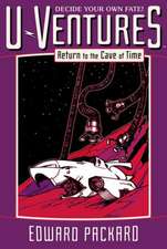 Return to the Cave of Time