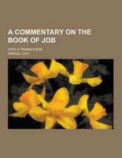 A Commentary on the Book of Job; With a Translation