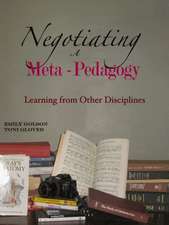 Negotiating a Meta-Pedagogy: Learning from Other Disciplines