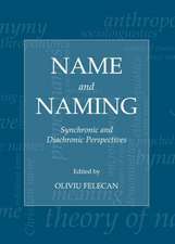 Name and Naming: Synchronic and Diachronic Perspectives