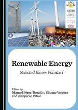 Renewable Energy: Selected Issues Volume I