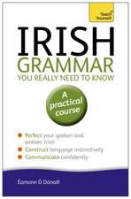 O'Donaill, E: Irish Grammar You Really Need to Know: Teach Y