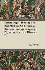 Terrier Dogs - Showing The Best Methods Of Breeding, Rearing, Feeding, Cropping, Physicing , Cure Of Diseases, Etc.