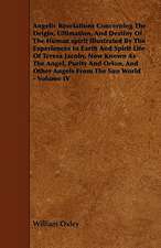 Angelic Revelations Concerning The Origin, Ultimation, And Destiny Of The Human spirit Illustrated By The Experiences In Earth And Spirit Life Of Teresa Jacoby, Now Known As The Angel, Purity And Orion, And Other Angels From The Sun World - Volume IV