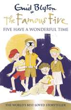 Blyton, E: Famous Five: Five Have A Wonderful Time