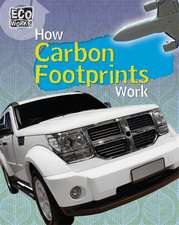 Hunter, N: How Carbon Footprints Work