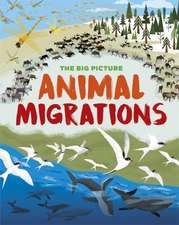 Richards, J: Big Picture: Animal Migrations