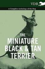 The Miniature Black and Tan Terrier - A Complete Anthology of the Dog