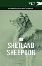 The Shetland Sheepdog - A Complete Anthology of the Dog