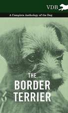 The Border Terrier - A Complete Anthology of the Dog -