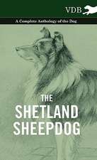 The Shetland Sheepdog - A Complete Anthology of the Dog