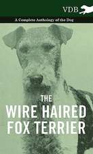 The Wire Haired Fox Terrier - A Complete Anthology of the Dog