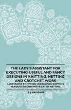 The Lady's Assistant for Executing Useful and Fancy Designs in Knitting, Netting and Crotchet Work - Illustrated by Fifteen Engravings, Showing Various Stitches in the Art of Netting