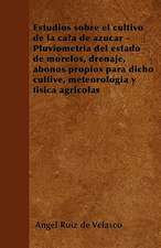 Estudios sobre el cultivo de la caña de azúcar - Pluviometría del estado de morelos, drenaje, abonos propios para dicho cultive, meteorología y física agrícolas