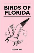 Birds of Florida