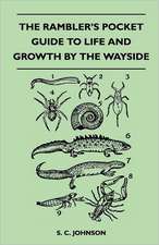 The Rambler's Pocket Guide to Life and Growth by the Wayside