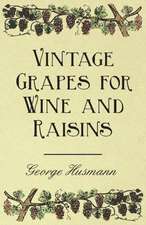 Vintage Grapes for Wine and Raisins