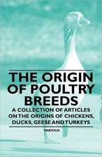 The Origin of Poultry Breeds - A Collection of Articles on the Origins of Chickens, Ducks, Geese and Turkeys