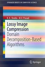 Lossy Image Compression: Domain Decomposition-Based Algorithms