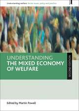 Understanding the Mixed Economy of Welfare