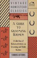 A Guide to Grooming Horses - A Collection of Historical Articles on Grooming and Stable Routine