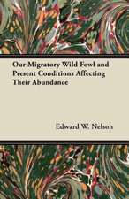 Our Migratory Wild Fowl and Present Conditions Affecting Their Abundance