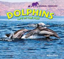 Dolphins: Life in the Pod