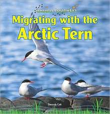 Migrating with the Arctic Tern