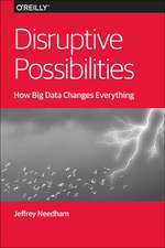 Disruptive Possibilities: How Big Data Changes Everything