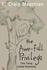 Moorman, K: Awe-Full Privilege