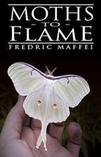 Moths to Flame: An Indepth Bible Study and Prayer Journal on Psalm 91