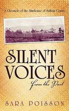 Silent Voices from the Past