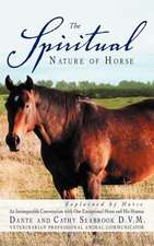 The Spiritual Nature of Horse Explained by Horse