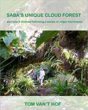 Saba's Unique Cloud Forest