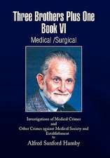 Hamby, A: Three Brothers Plus One Book VI Medical/Surgical