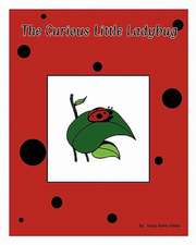 The Curious Little Ladybug