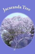 Jacaranda Tree