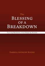 Boone, D: Blessing of a Breakdown