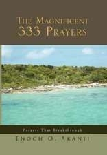 The Magnificent 333 Prayers